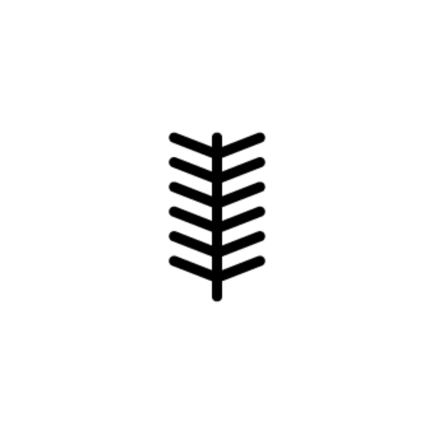 Australian Bush