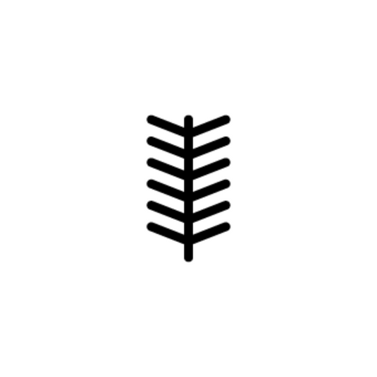 Australian Bush